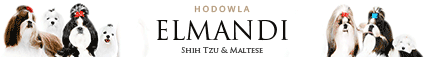 Elmandi - Hodowla Shih-Tzu & Maltaczyk - Krakw